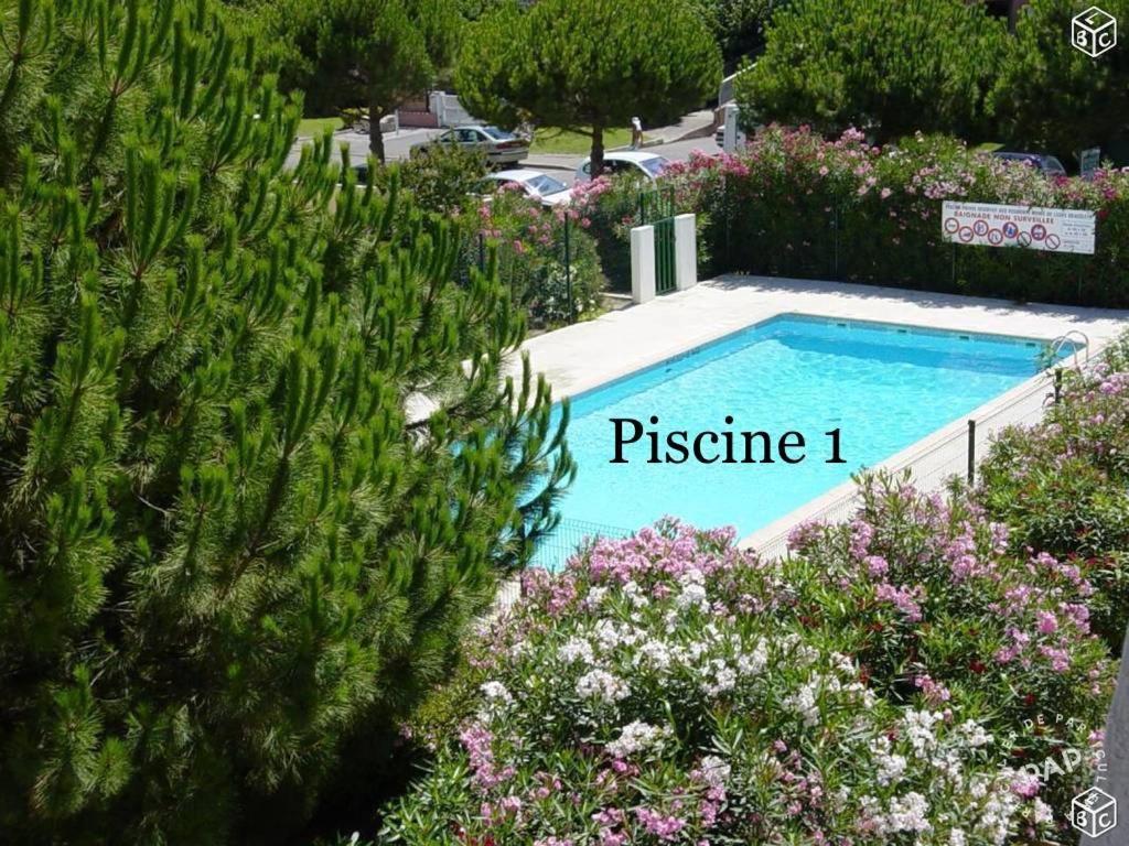Flore Le Grau-du-Roi Ngoại thất bức ảnh